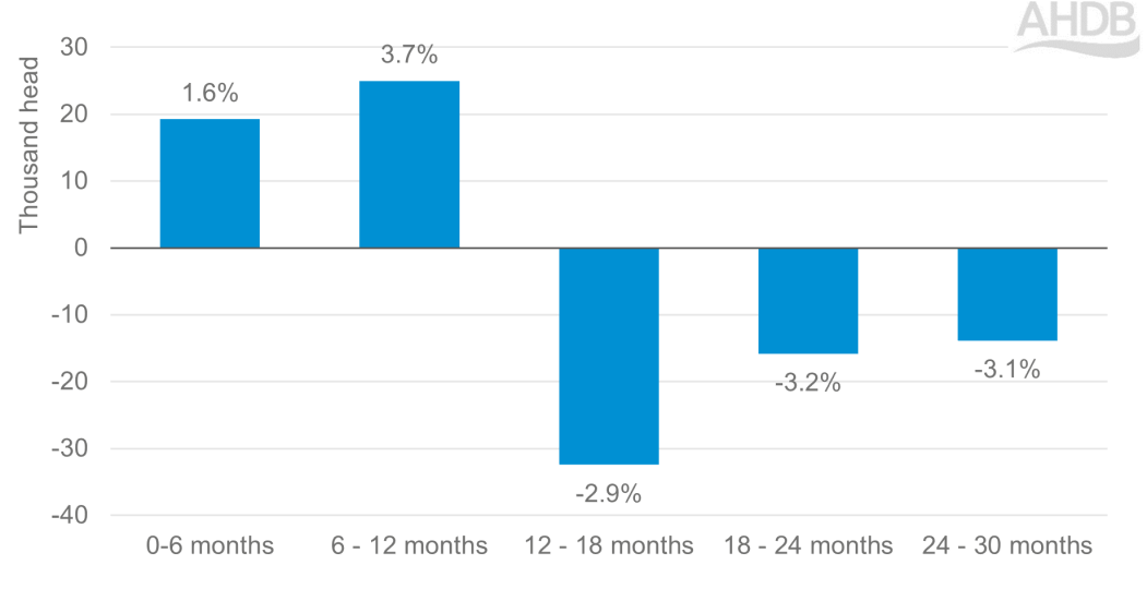 Annual change in GB cattle population by age group for beef 1 July 2025